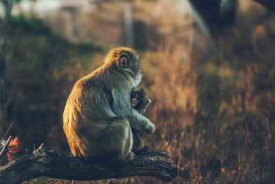 How to Talk To Kids About Budgeting (Now With Helpful Mantras)
